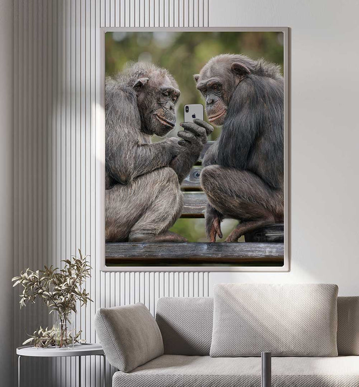 MONKEY PHONE , PHOTOGRAPHY PRINTS