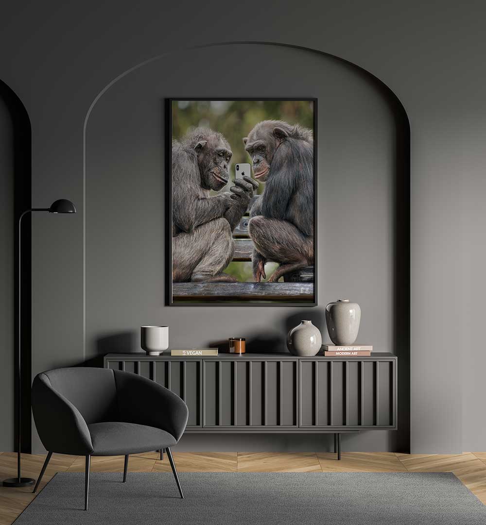 MONKEY PHONE , PHOTOGRAPHY PRINTS