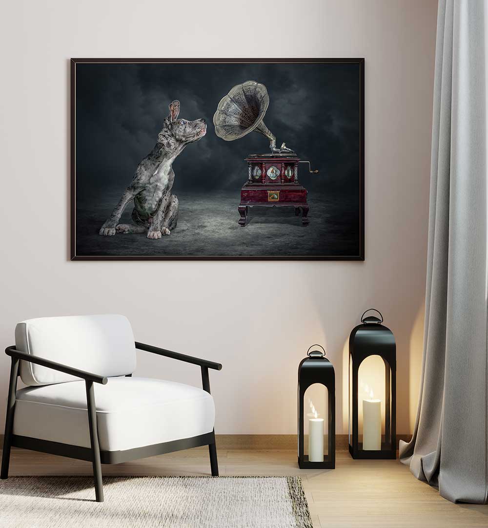 MUSIC DOG  , PHOTOGRAPHY PRINTS