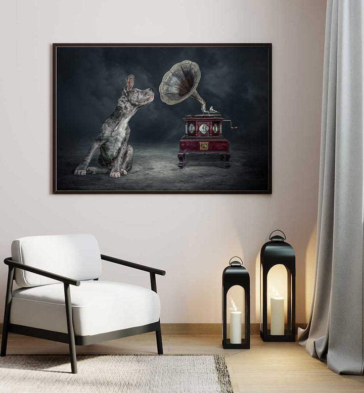 MUSIC DOG  , PHOTOGRAPHY PRINTS