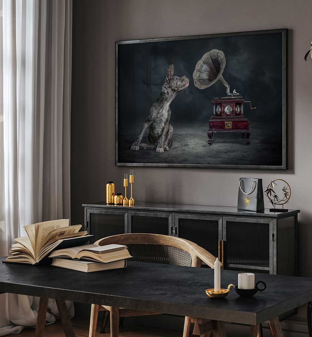 MUSIC DOG  , PHOTOGRAPHY PRINTS