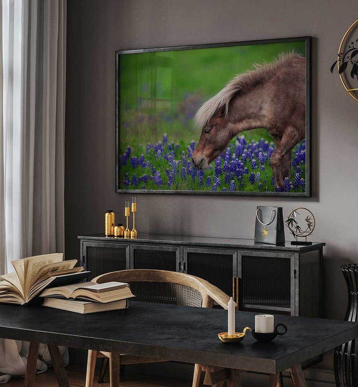 SPRING IS IN THE AIR , PHOTOGRAPHY PRINTS