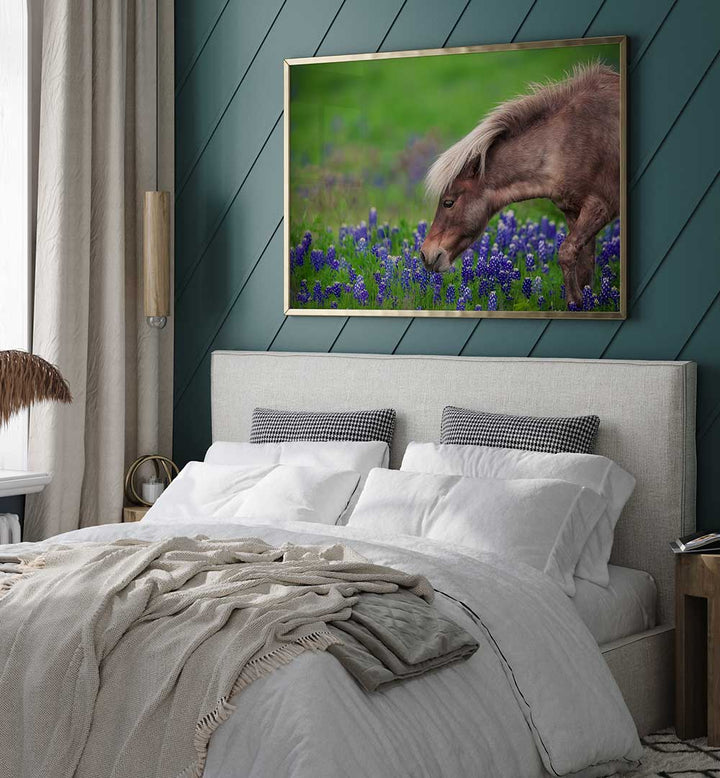 SPRING IS IN THE AIR , PHOTOGRAPHY PRINTS