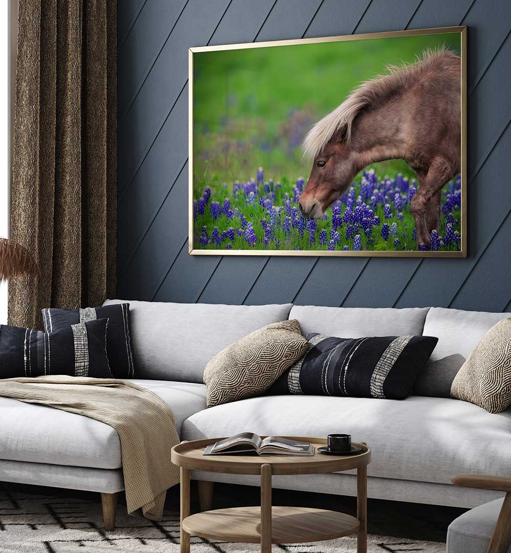 SPRING IS IN THE AIR , PHOTOGRAPHY PRINTS