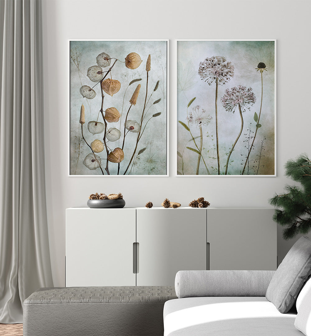 CURATED HERBARIUM SET , SET OF 2 PAINTINGS