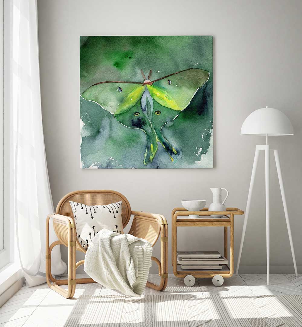 LUNA MOTH , ANIMAL PAINTINGS
