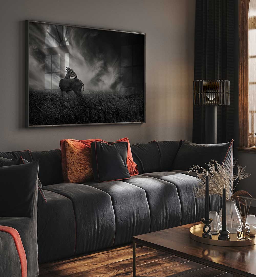 CURIOSITY , PHOTOGRAPHY PRINTS