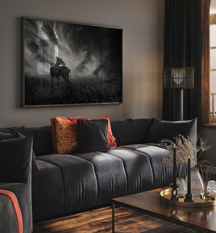 CURIOSITY , PHOTOGRAPHY PRINTS