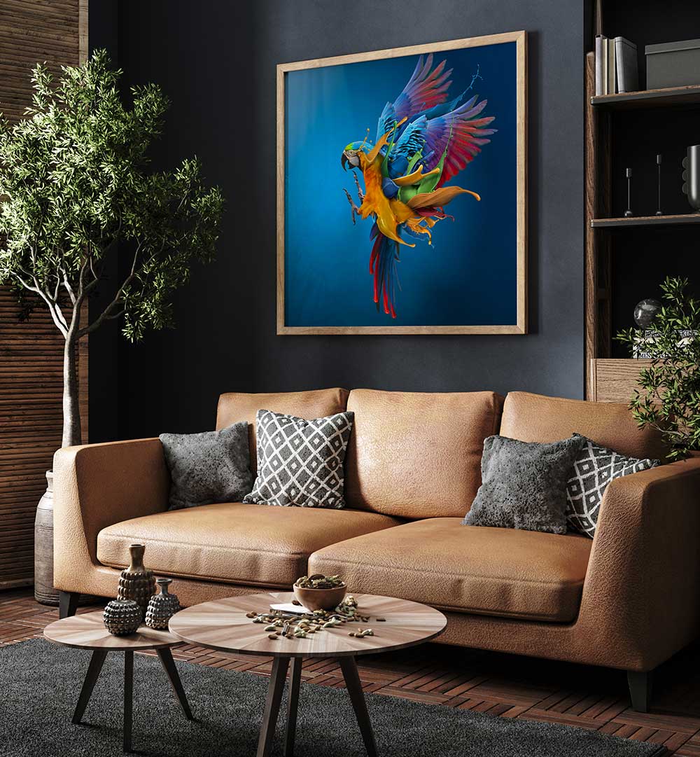 FLYING COLOURS , PHOTOGRAPHY PRINTS