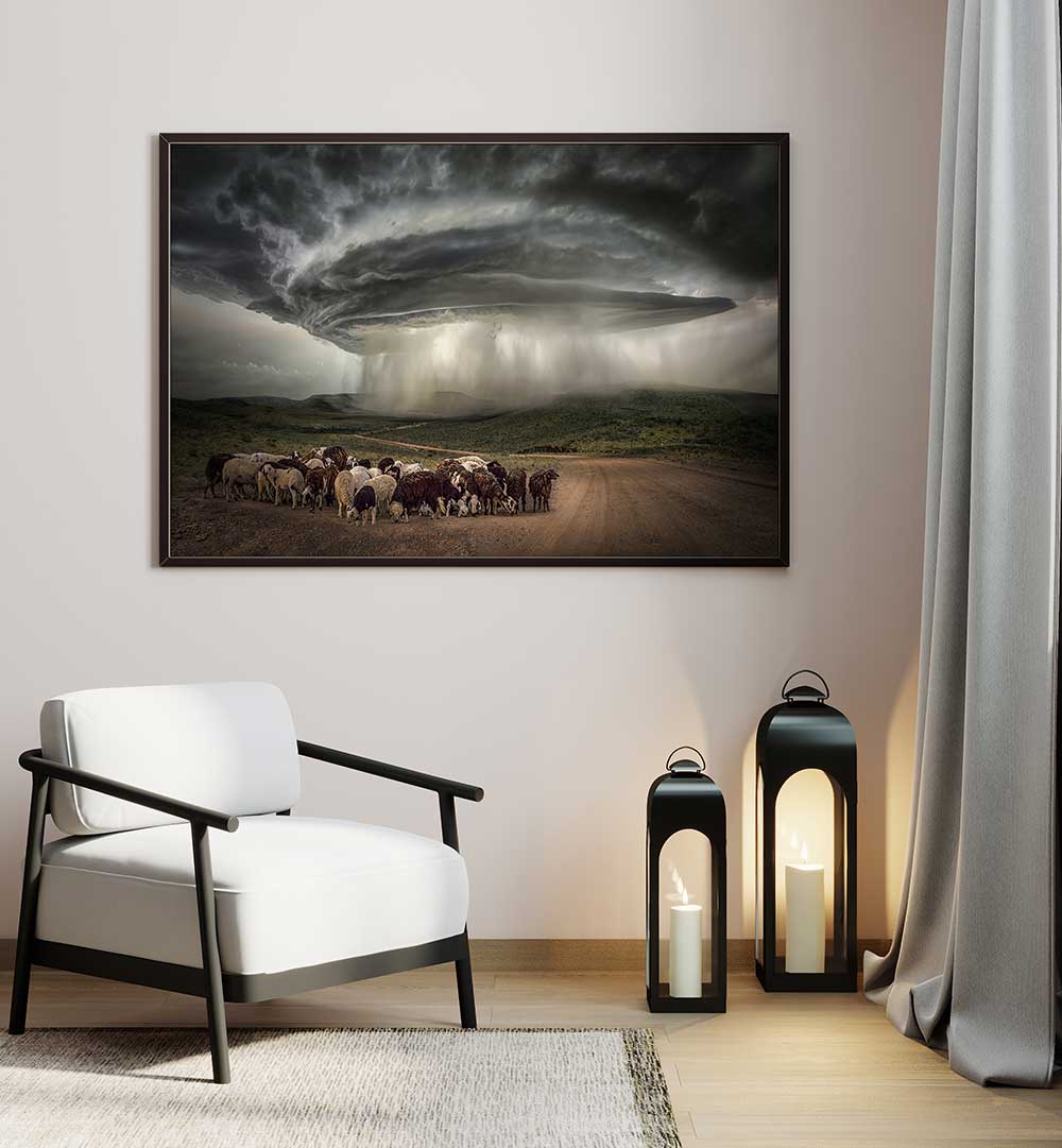 NAMIBIA RAIN , PHOTOGRAPHY PRINTS
