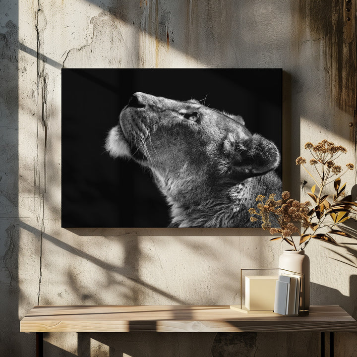 LOOKING UP  , PHOTOGRAPHY PRINTS