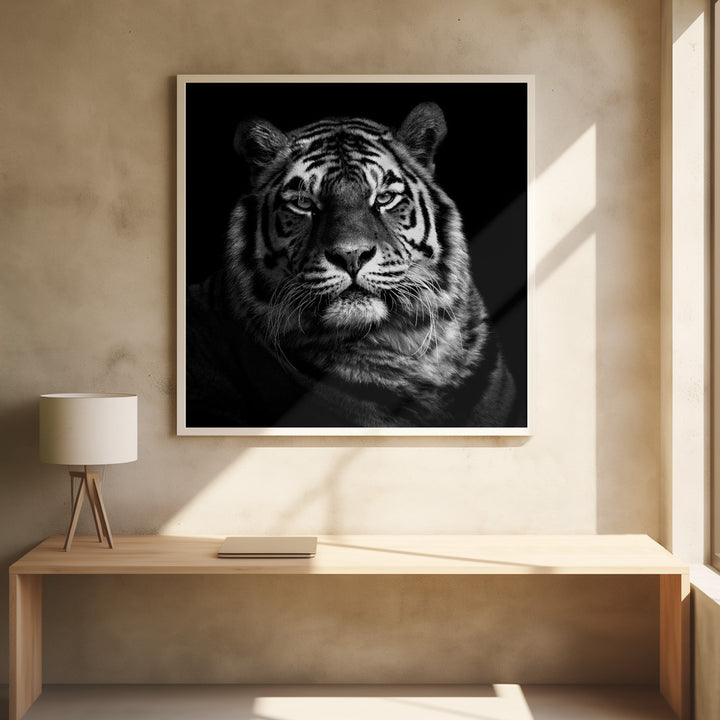 TIGER II , PHOTOGRAPHY PRINTS