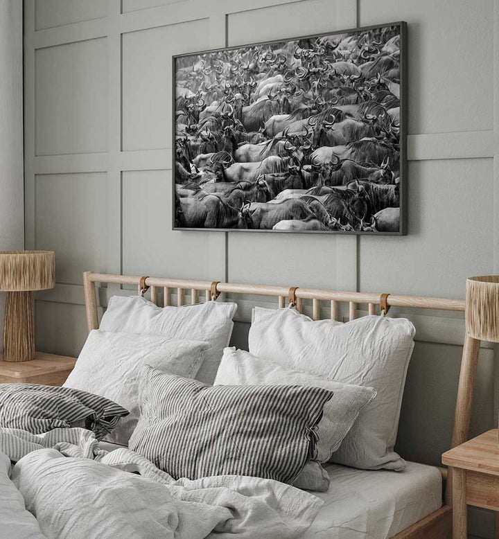 WILDBEEST , PHOTOGRAPHY PRINTS