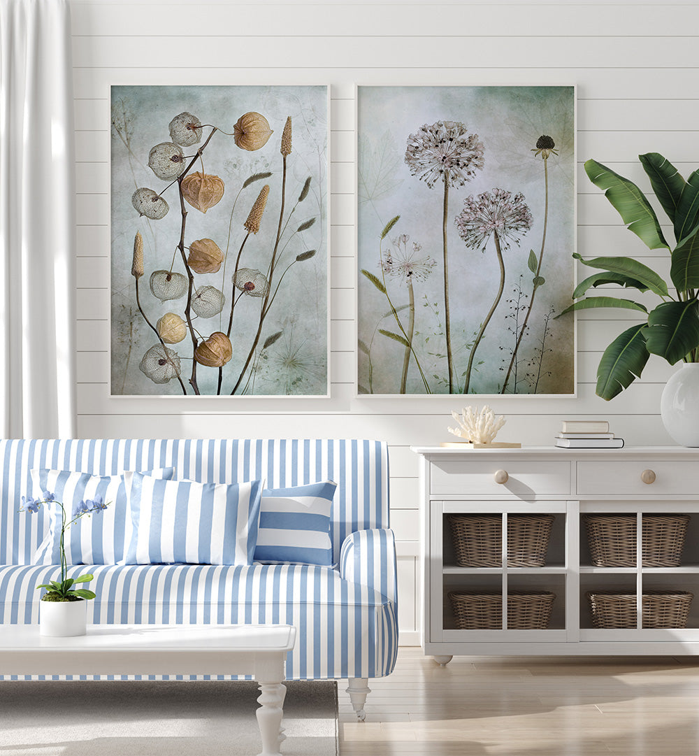 CURATED HERBARIUM SET , SET OF 2 PAINTINGS