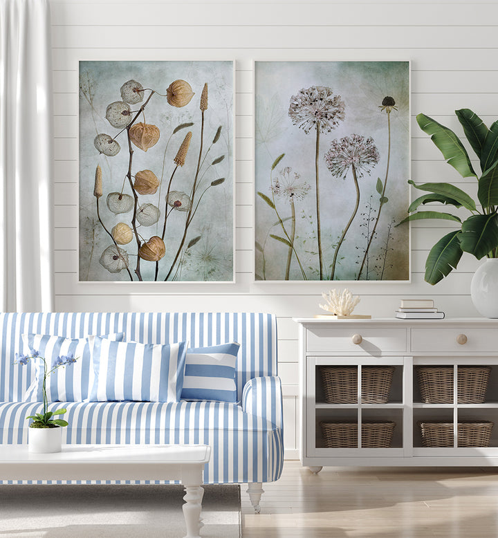 CURATED HERBARIUM SET , SET OF 2 PAINTINGS