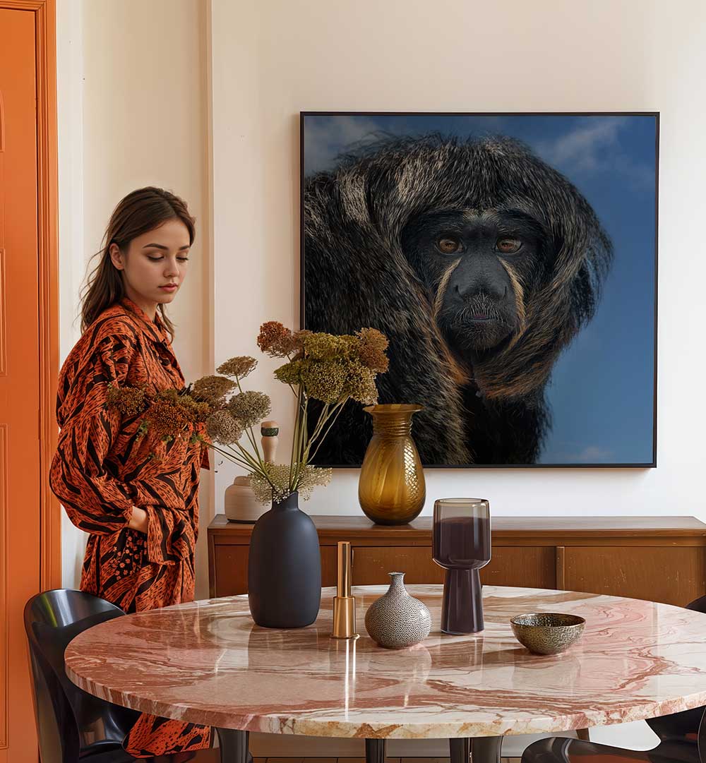 WHITE-FACED SAKI - PITHECIA  , PHOTOGRAPHY PRINTS