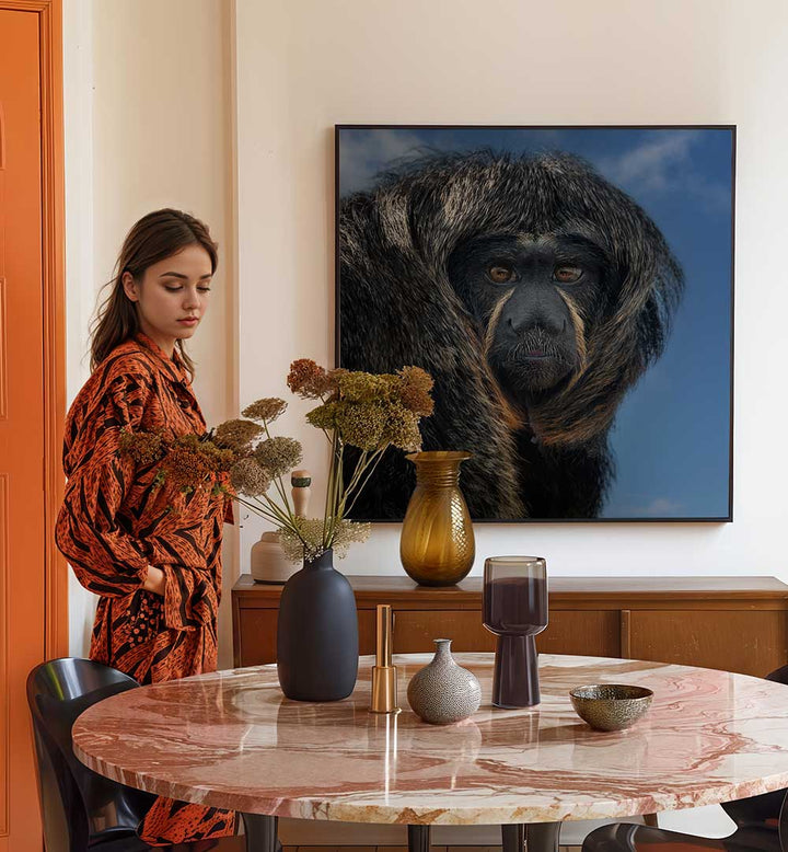 WHITE-FACED SAKI - PITHECIA  , PHOTOGRAPHY PRINTS