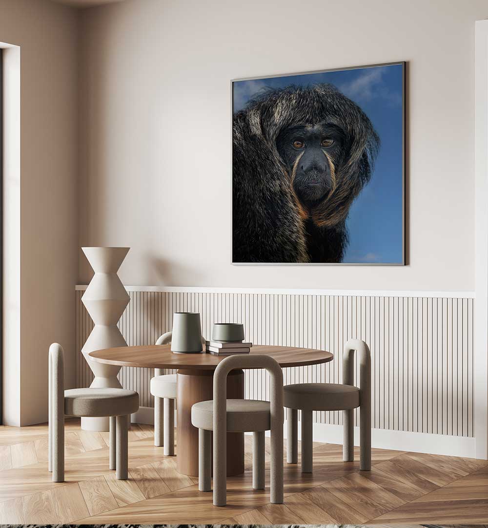 WHITE-FACED SAKI - PITHECIA  , PHOTOGRAPHY PRINTS