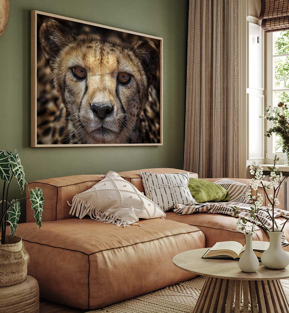 YOU KNOW WHAT  , PHOTOGRAPHY PRINTS