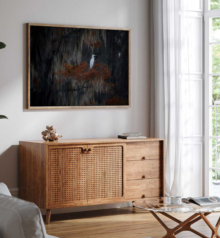 TRANQUILNESS , PHOTOGRAPHY PRINTS