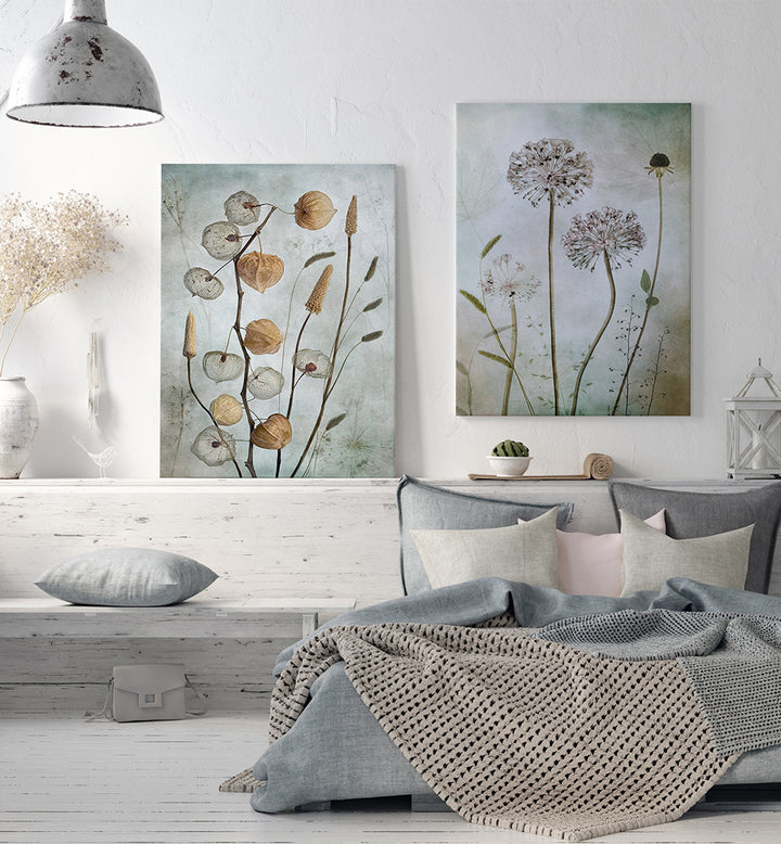 CURATED HERBARIUM SET , SET OF 2 PAINTINGS