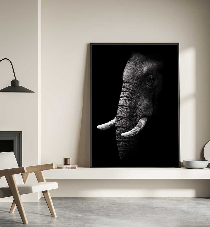 PORTRAIT OF A ELEPHANT  , PHOTOGRAPHY PRINTS