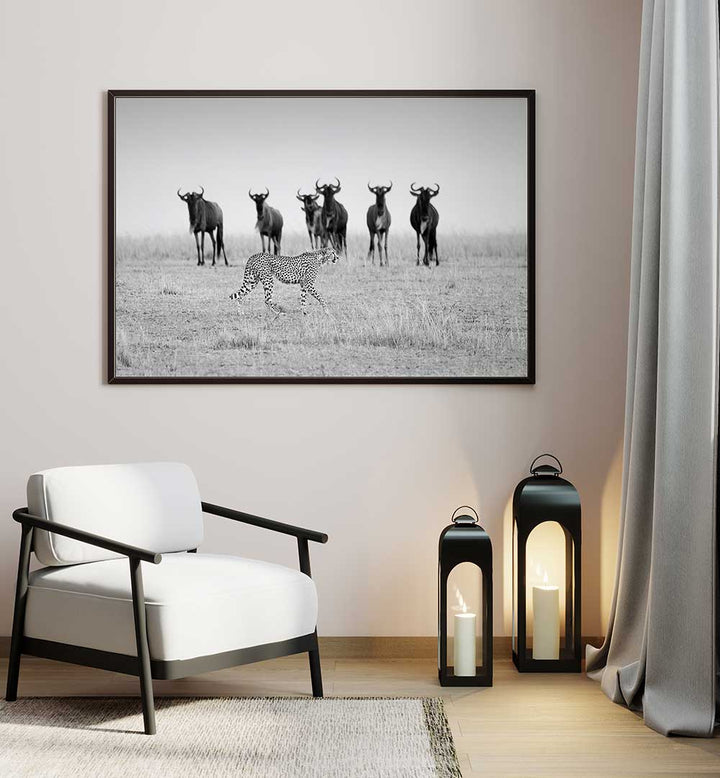 MUTUAL WATCHING , PHOTOGRAPHY PRINTS