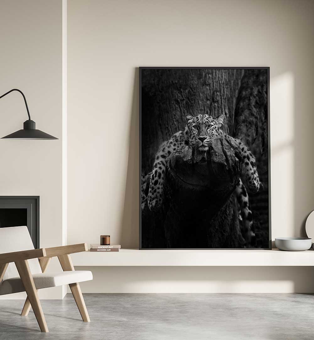 ENGENDERED BEAUTY  , PHOTOGRAPHY PRINTS