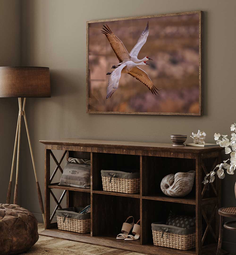 XING , PHOTOGRAPHY PRINTS