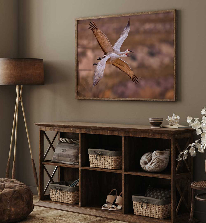 XING , PHOTOGRAPHY PRINTS