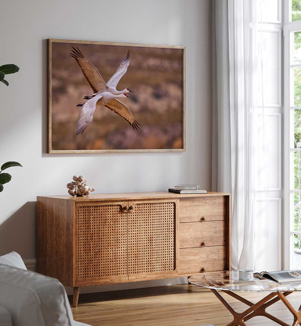 XING , PHOTOGRAPHY PRINTS