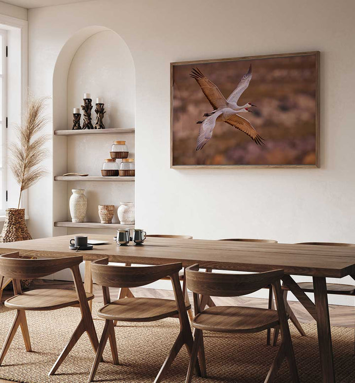 XING , PHOTOGRAPHY PRINTS