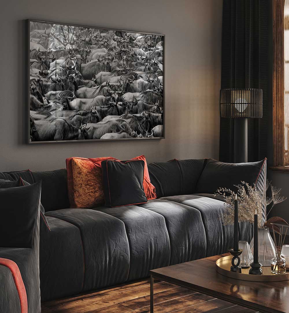 WILDBEEST , PHOTOGRAPHY PRINTS