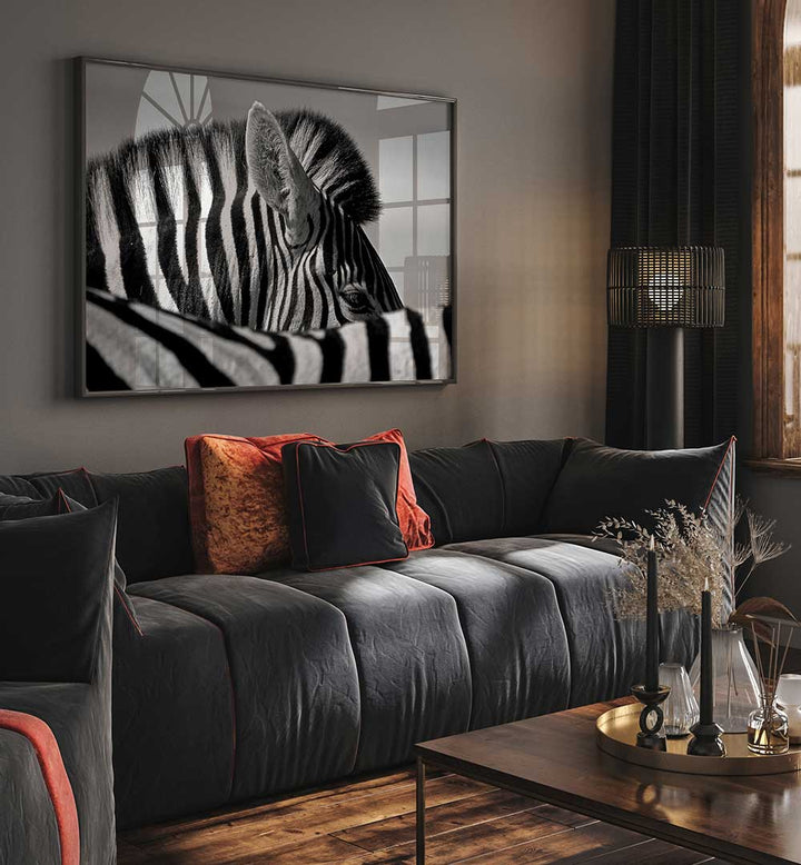 CURIOUS ZEBRA , PHOTOGRAPHY PRINTS