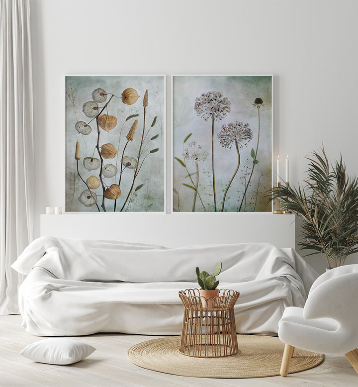 CURATED HERBARIUM SET , SET OF 2 PAINTINGS