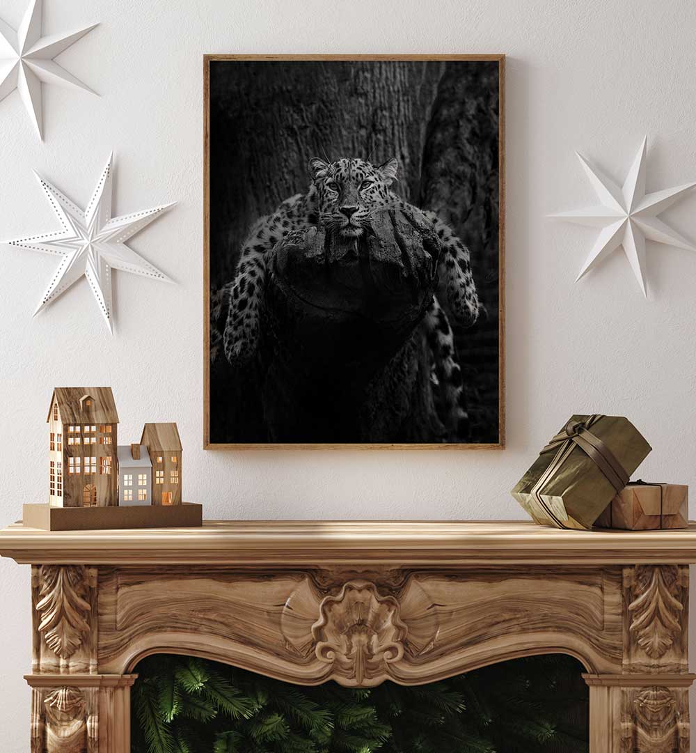 ENGENDERED BEAUTY  , PHOTOGRAPHY PRINTS