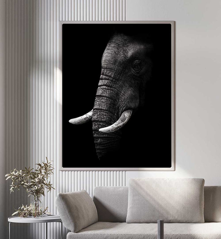 PORTRAIT OF A ELEPHANT  , PHOTOGRAPHY PRINTS