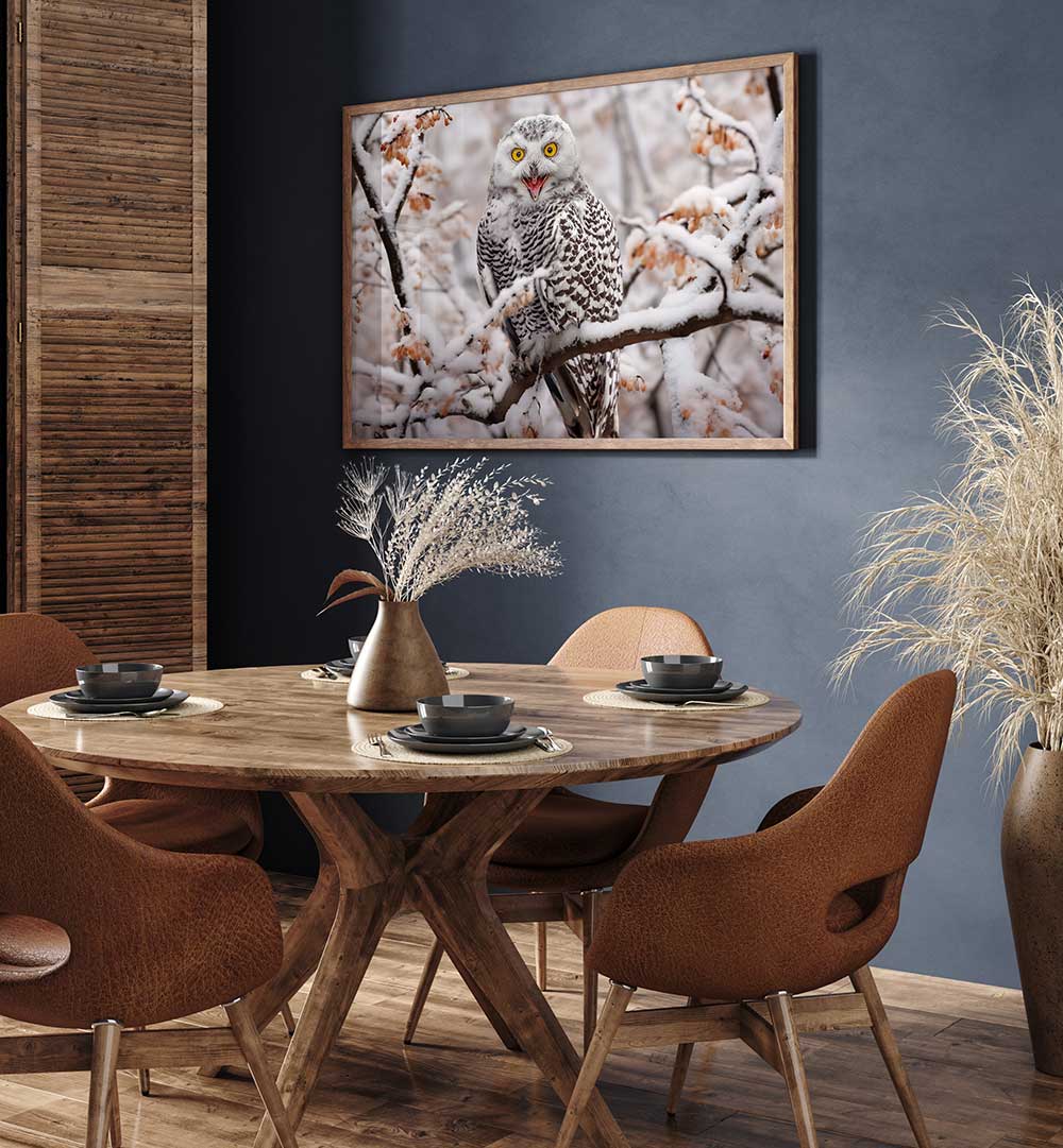 SNOW OWL  , PHOTOGRAPHY PRINTS