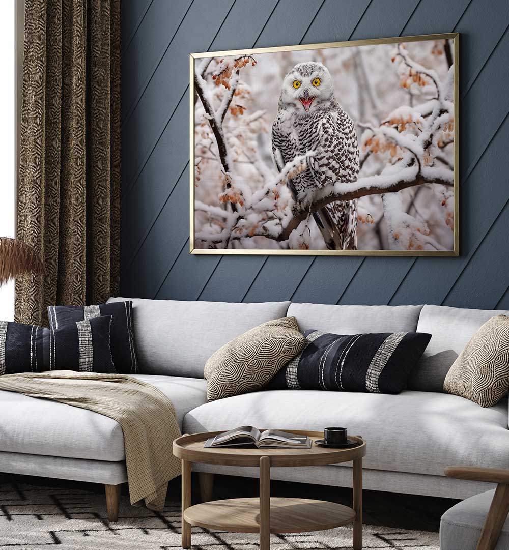 SNOW OWL  , PHOTOGRAPHY PRINTS