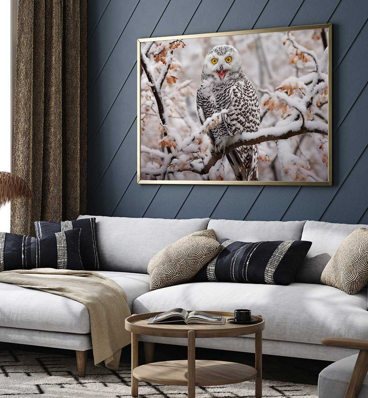 SNOW OWL  , PHOTOGRAPHY PRINTS