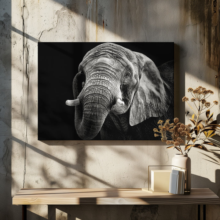 AFRICAN ELEPHANT , PHOTOGRAPHY PRINTS