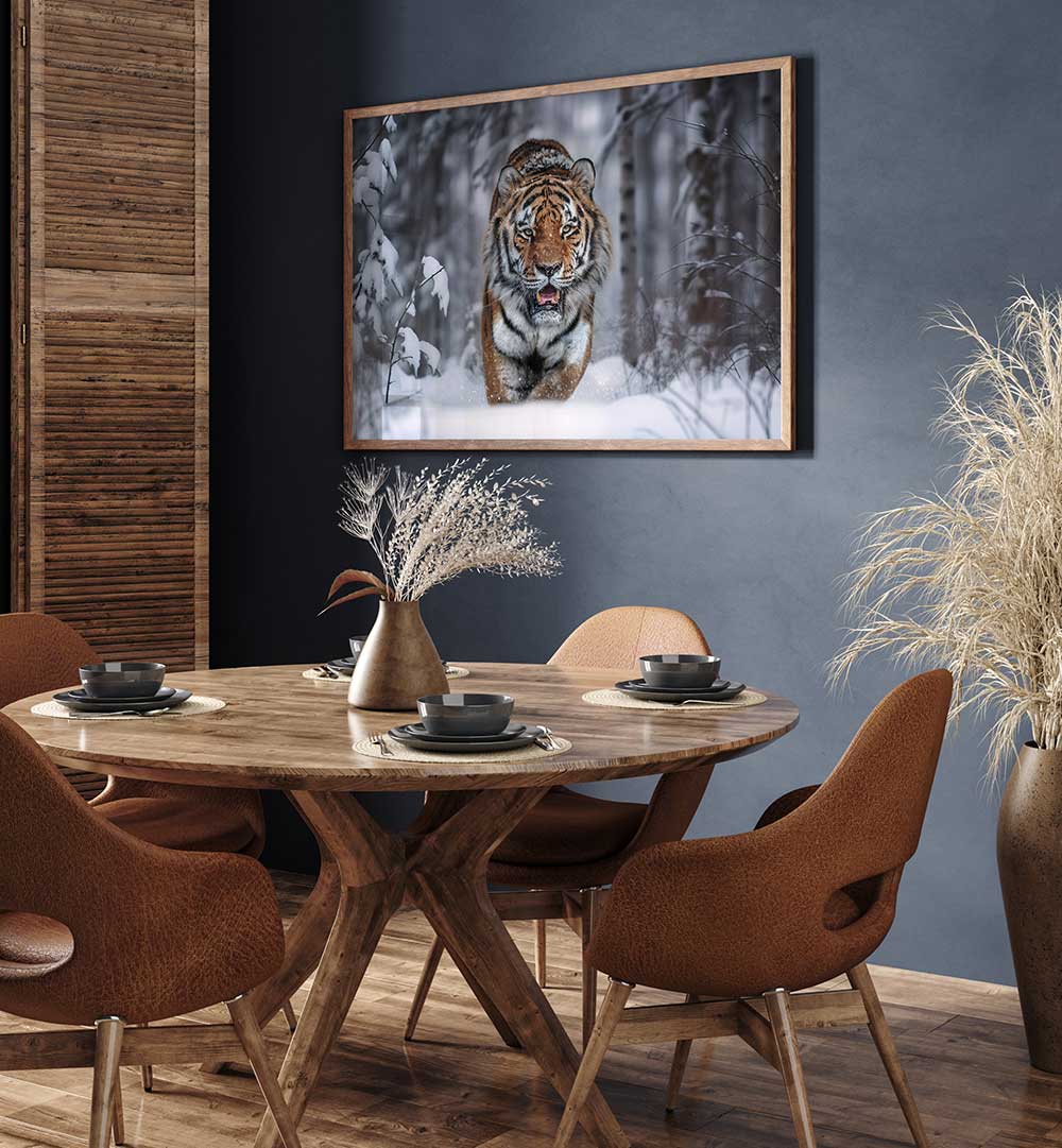 SNOW TIGER , PHOTOGRAPHY PRINTS