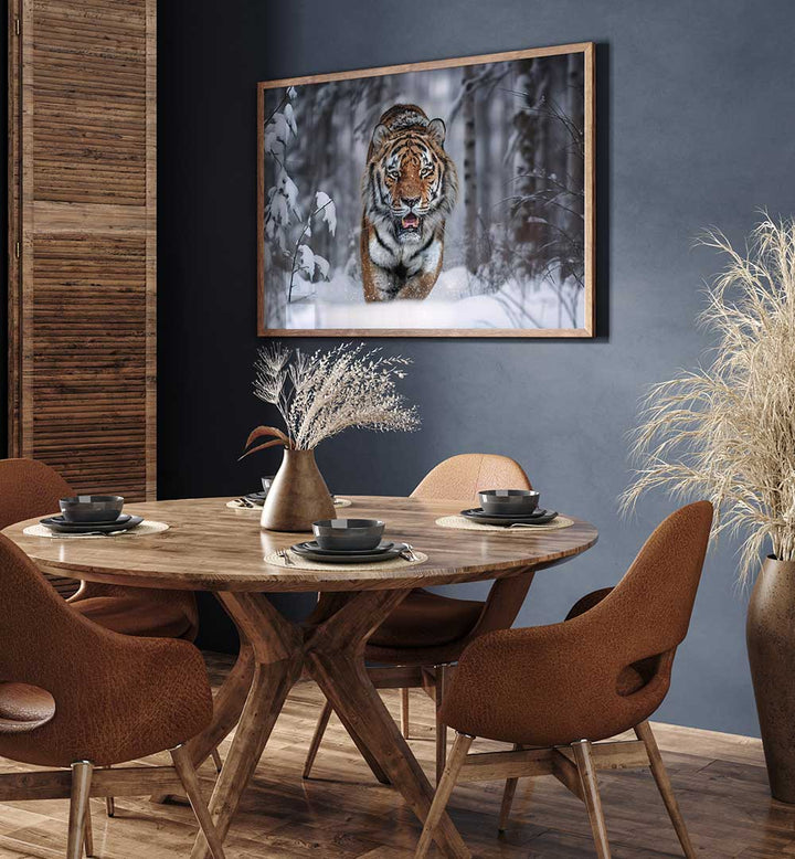 SNOW TIGER , PHOTOGRAPHY PRINTS