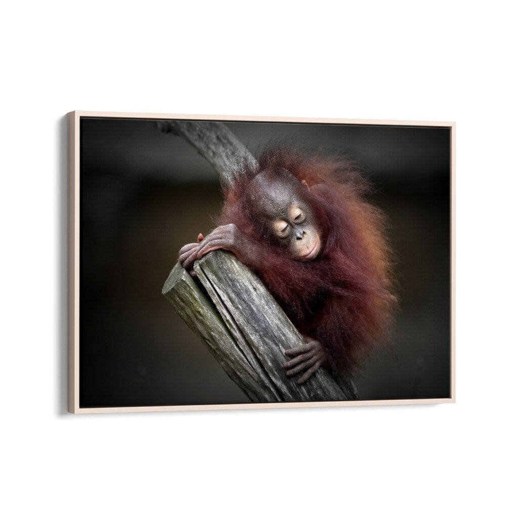 African painting - A PLAYFUL DAY (ORANG-UTAN BABY) by Asianmonk