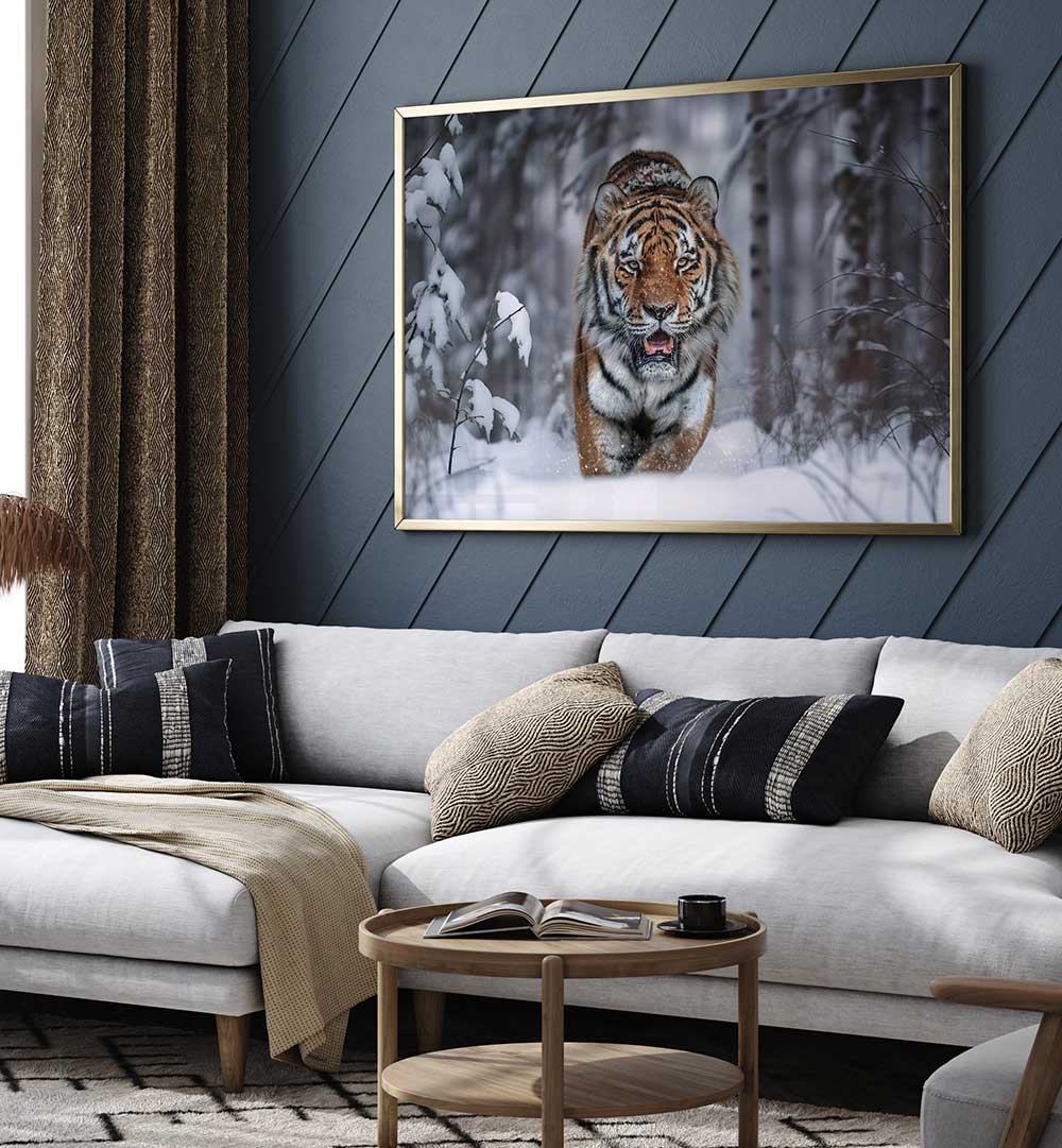 SNOW TIGER , PHOTOGRAPHY PRINTS