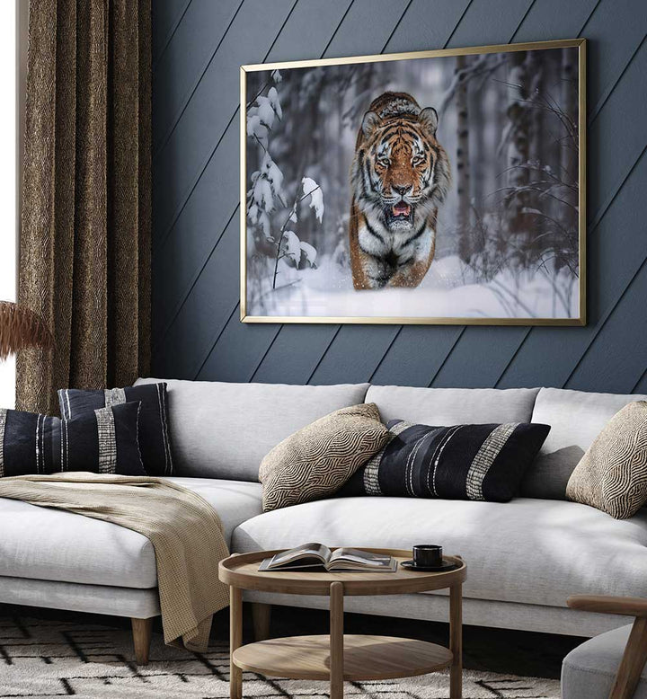 SNOW TIGER , PHOTOGRAPHY PRINTS