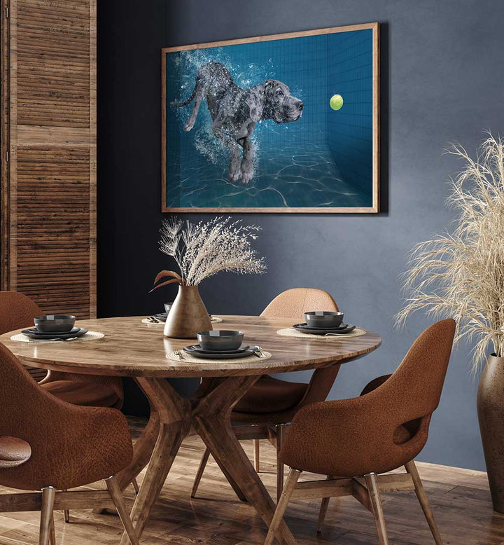 SPLASH DOG , PHOTOGRAPHY PRINTS