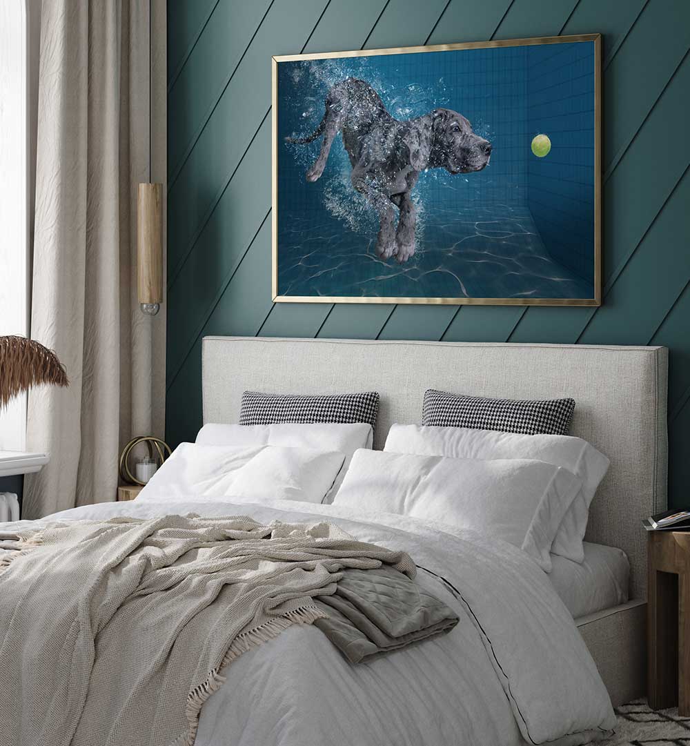 SPLASH DOG , PHOTOGRAPHY PRINTS