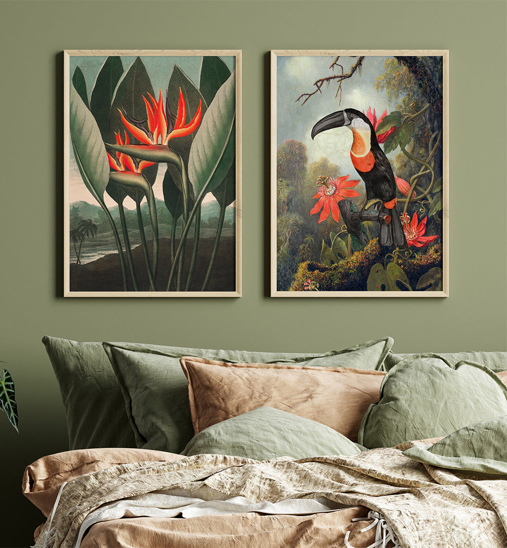 Two framed botanical prints of a toucan and flowers on a wall above a sofa.