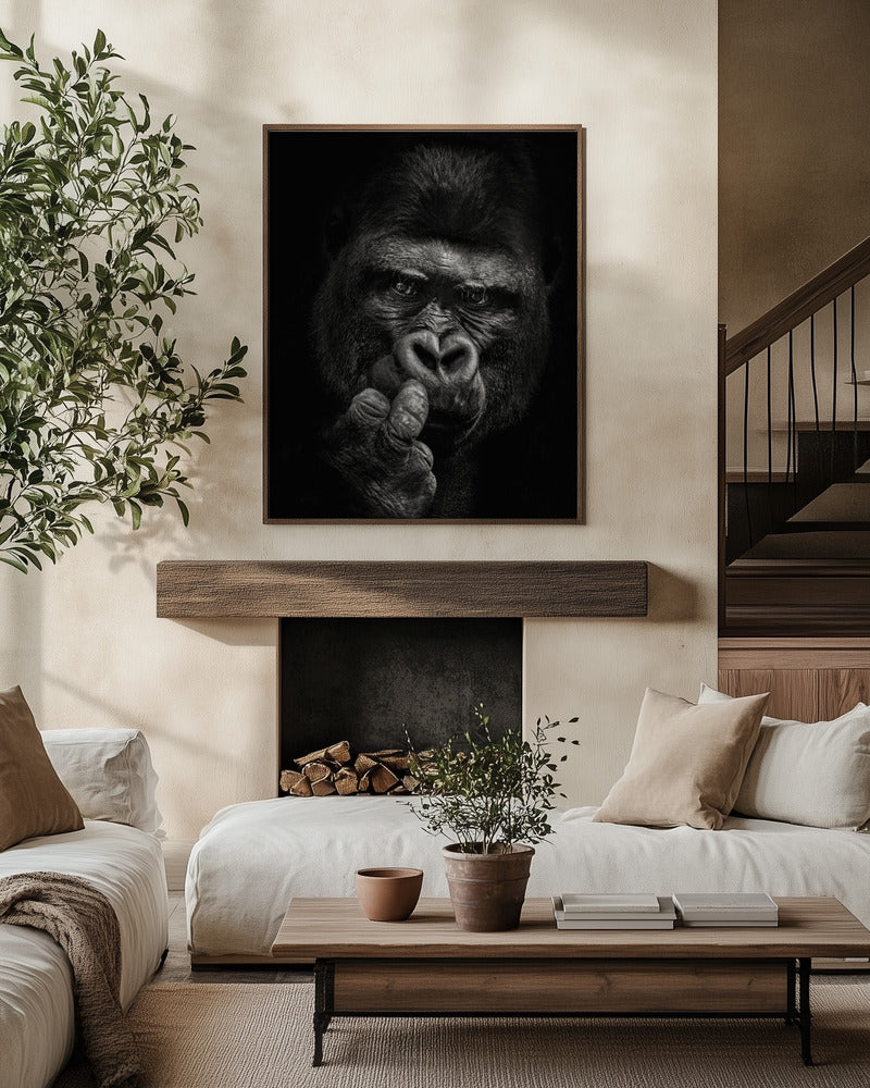 ATTITUDE , WILDLIFE PHOTOGRAPHY
